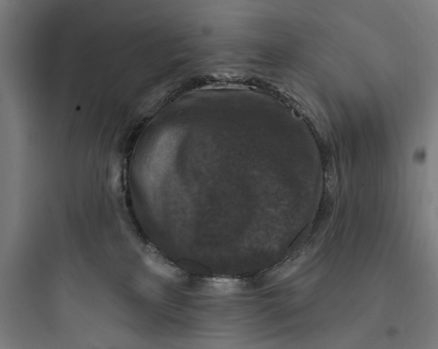 X0000093740233200711061032