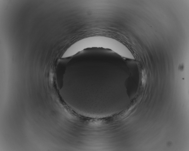 X0000093740235200711061032