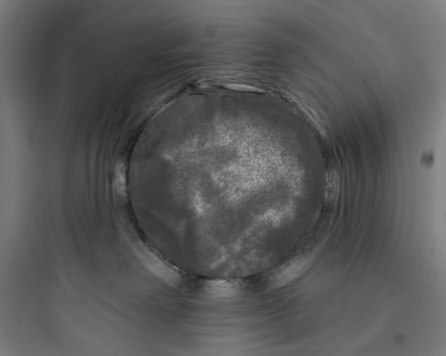 X0000093740238200711061032