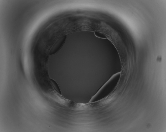 X0000093740239200711061032