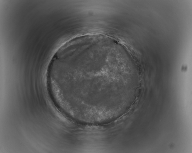 X0000093740242200711061031