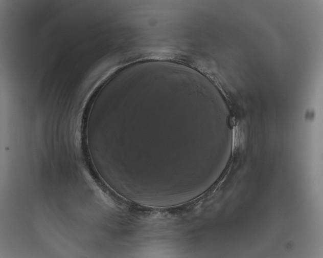 X0000093740243200711061031