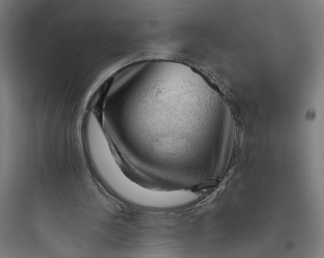 X0000093740244200711061031