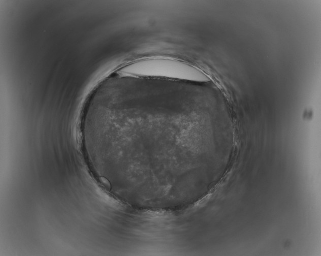 X0000093740245200711061031