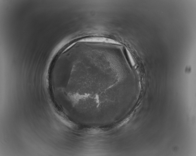 X0000093740246200711061031