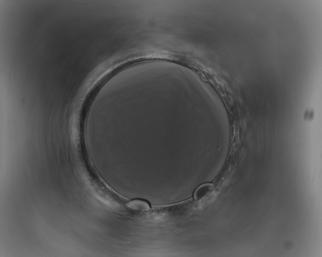 X0000093740247200711061031