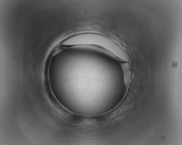 X0000093740248200711061031