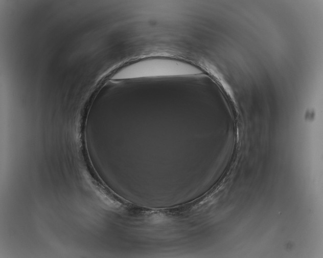 X0000093740249200711061031