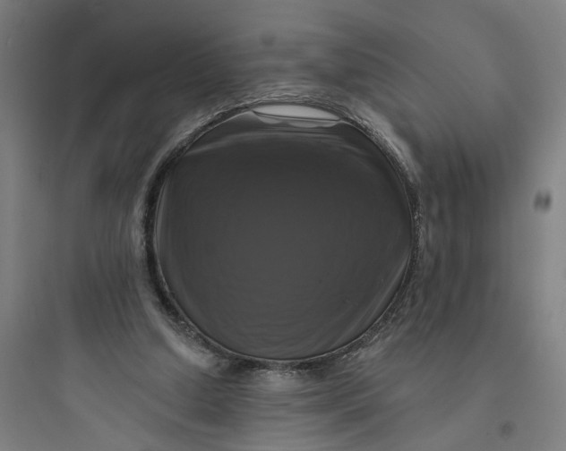 X0000093740250200711061031