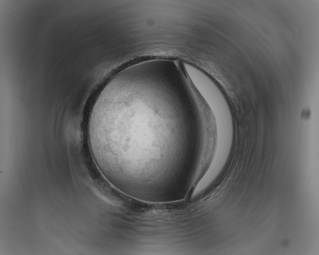 X0000093740252200711061031