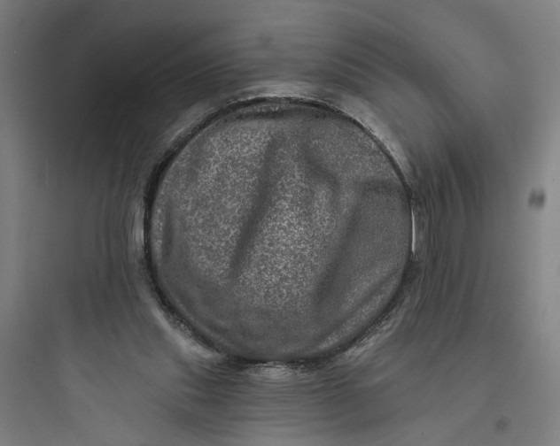 X0000093740253200711061031