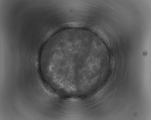 X0000093740255200711061031