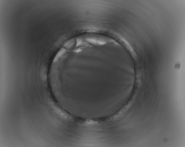 X0000093740257200711061031