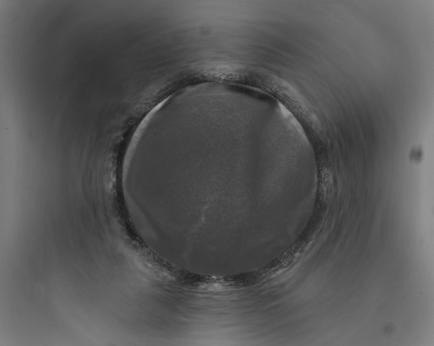 X0000093740259200711061031