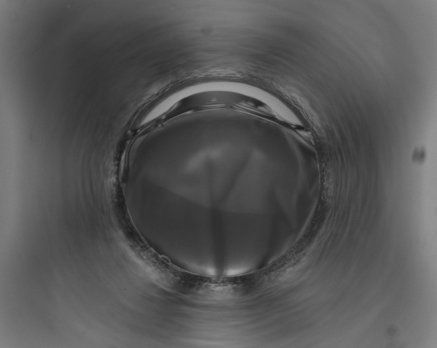 X0000093740260200711061031