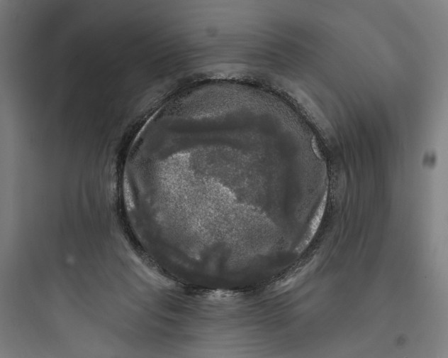 X0000093740261200711061031