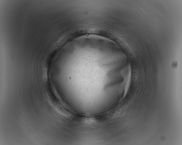 X0000093740262200711061031