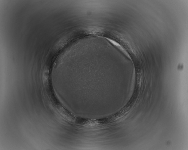 X0000093740263200711061031