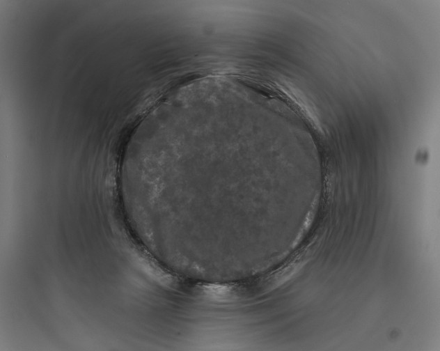 X0000093740265200711061031