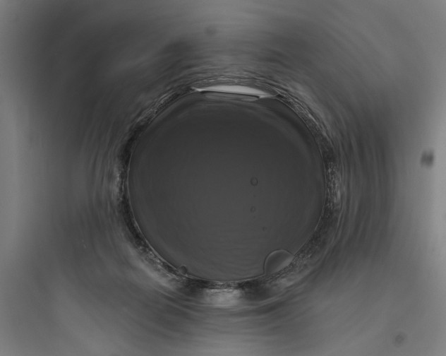 X0000093740266200711061031