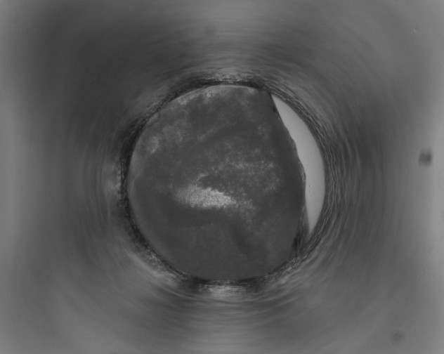 X0000093740268200711061031