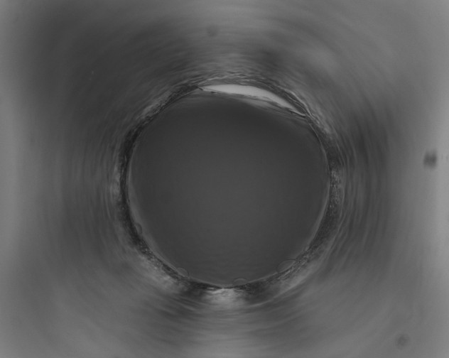 X0000093740269200711061031