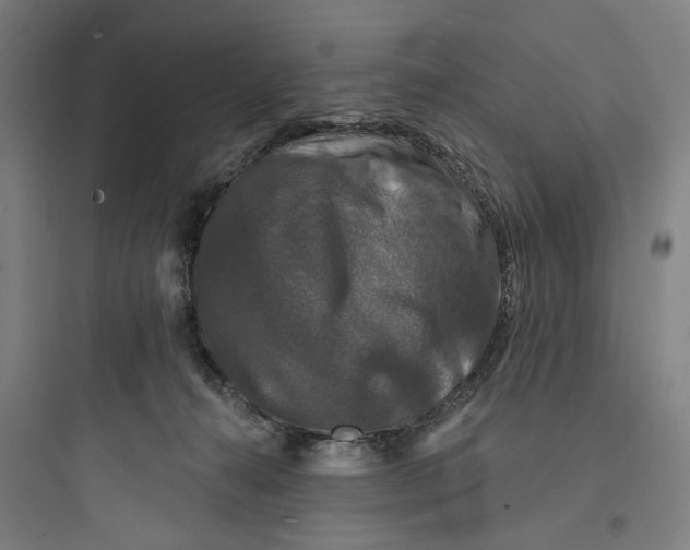 X0000093740272200711061031