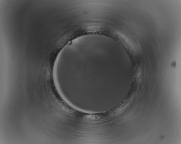 X0000093740277200711061031