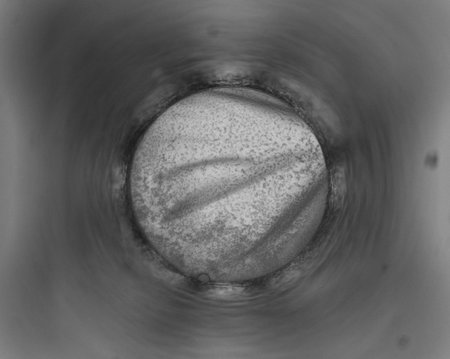 X0000093740278200711061031