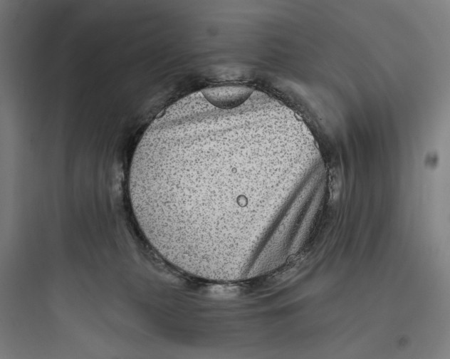 X0000093740279200711061031