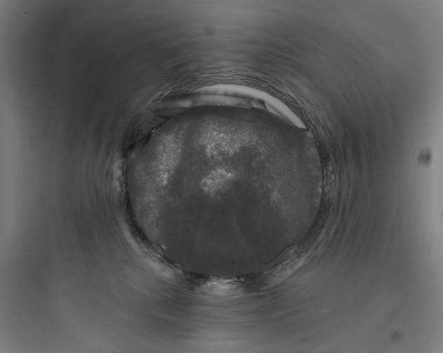 X0000093740280200711061031