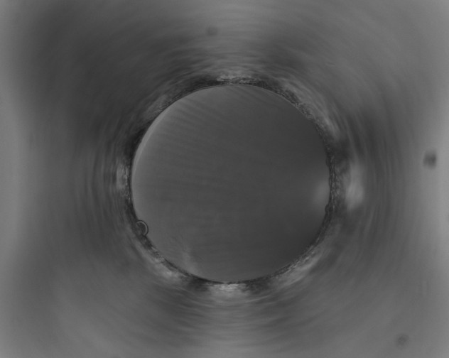 X0000093740281200711061031