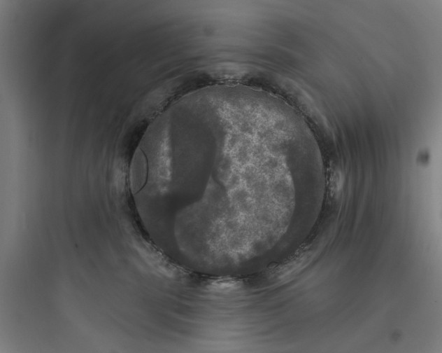 X0000093740283200711061031