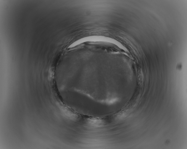 X0000093740284200711061031