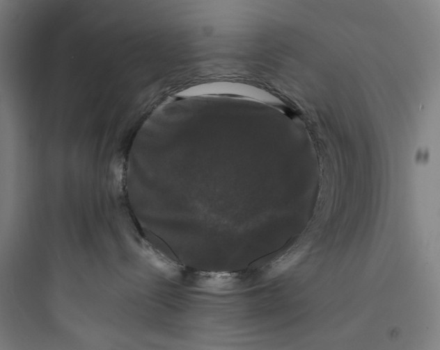 X0000093740288200711061032