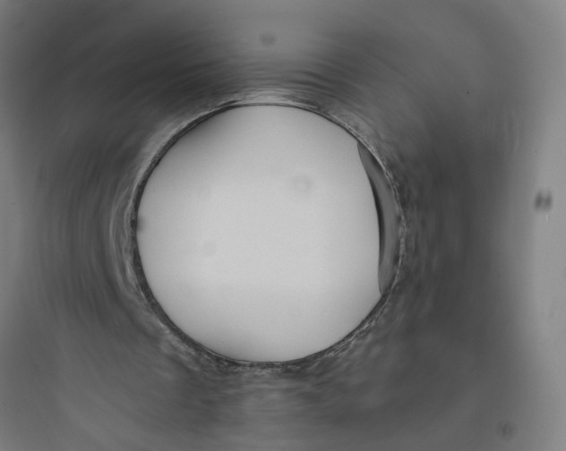 X0000093740289200711061031