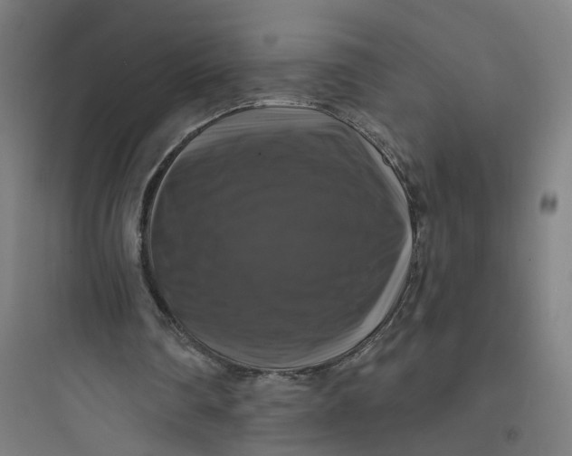 X0000093740290200711061031