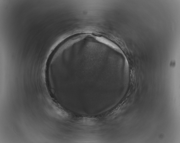 X0000093740292200711061031