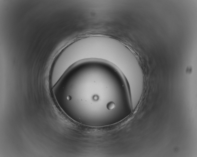 X0000093740293200711061030