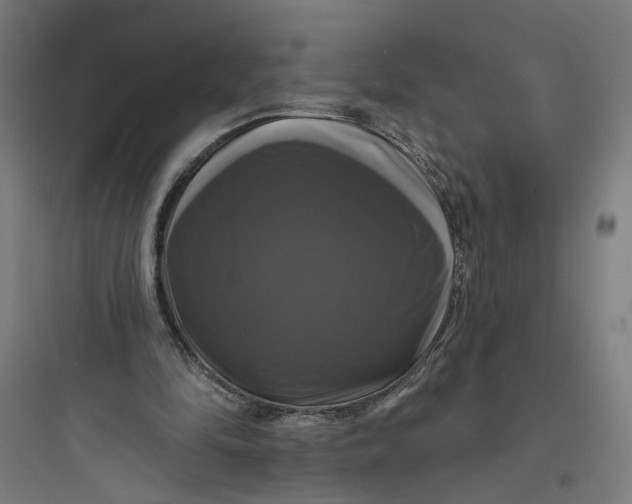 X0000093740294200711061030