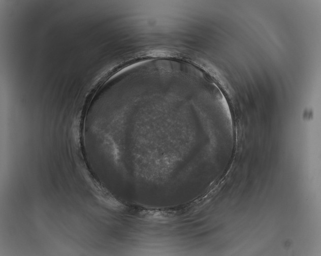 X0000093740297200711061030