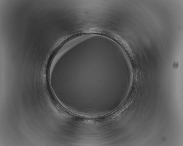 X0000093740298200711061030