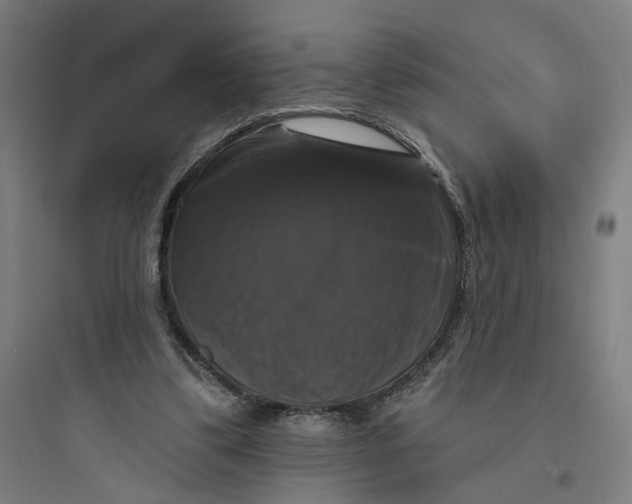 X0000093740299200711061030