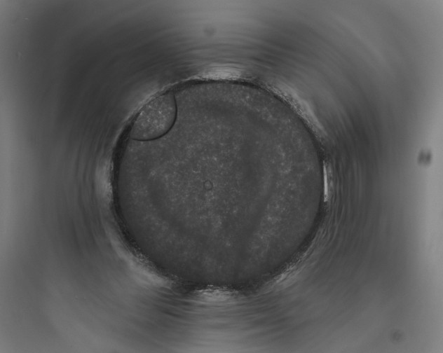 X0000093740300200711061030