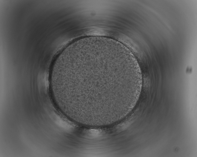 X0000093740302200711061030