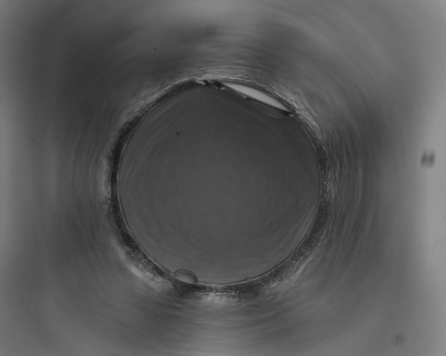 X0000093740303200711061030