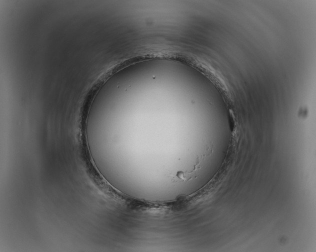 X0000093740306200711061030