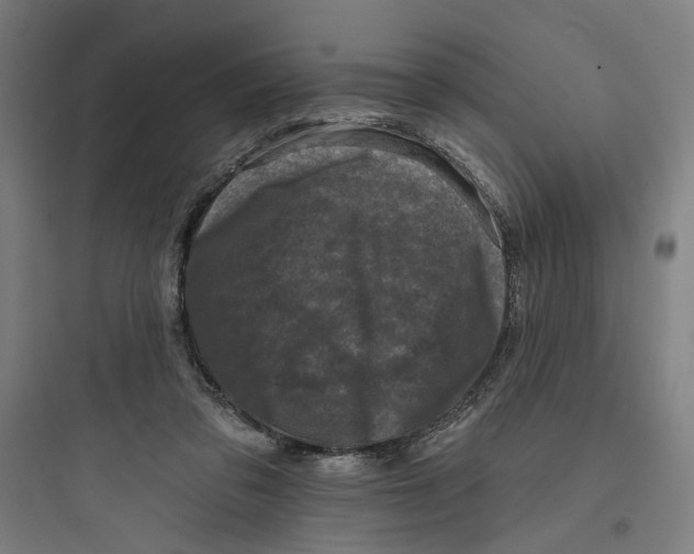 X0000093740309200711061030