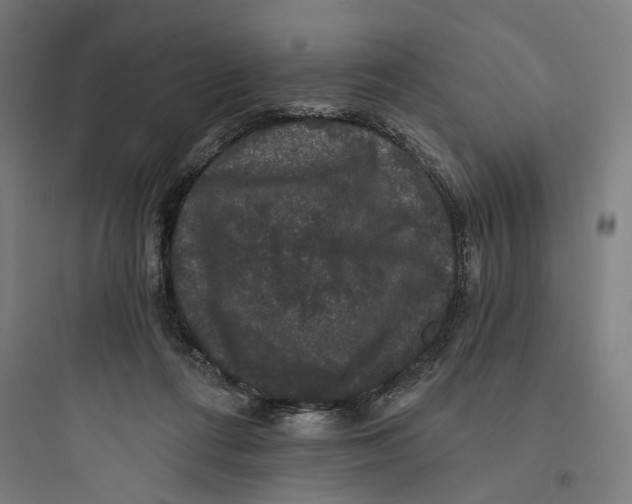 X0000093740312200711061030