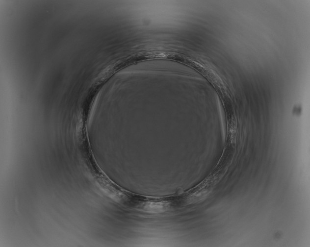 X0000093740314200711061030